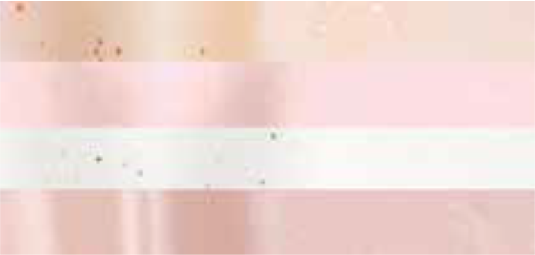 20 x 30″ Satin Wrap Patterned Color Tissue Paper 480 Sheets Per Ream Assortment Packs (ROSE GOLD))